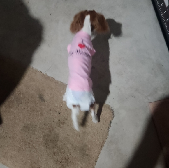 Meet your Posher, Raylene - Picture 5 of 9